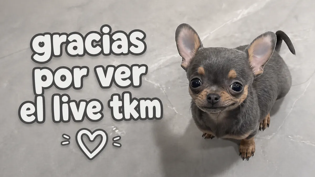 elchairox
