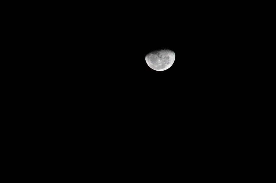 moonfer