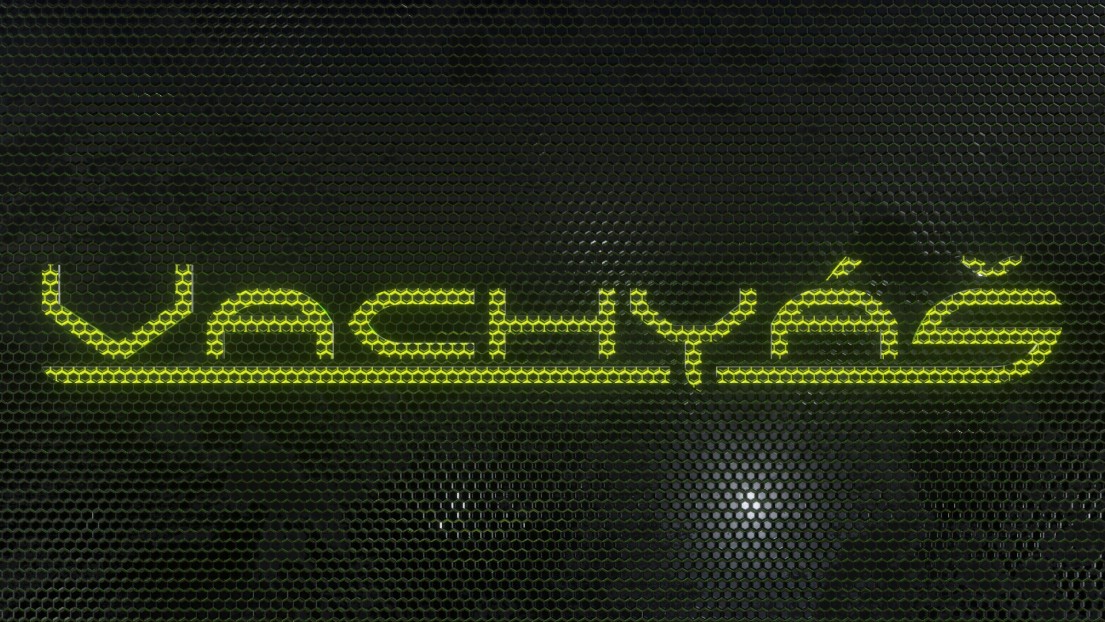 Vachyas