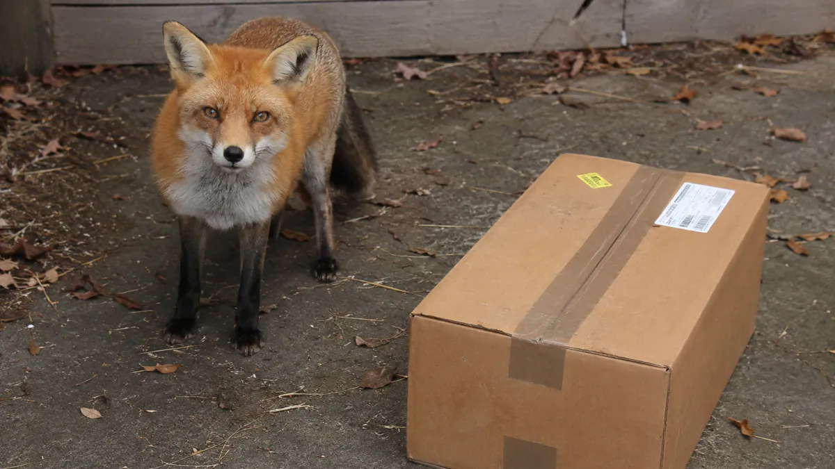 FoxBawks
