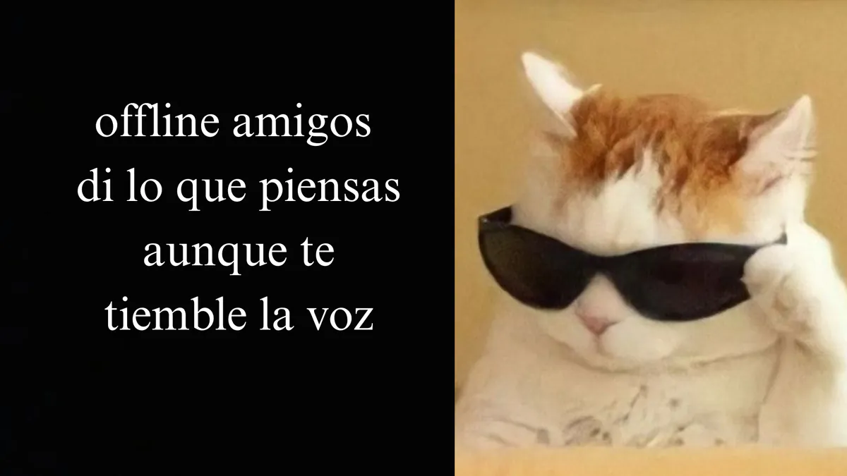 Mateooz19