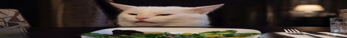 OttisPDG