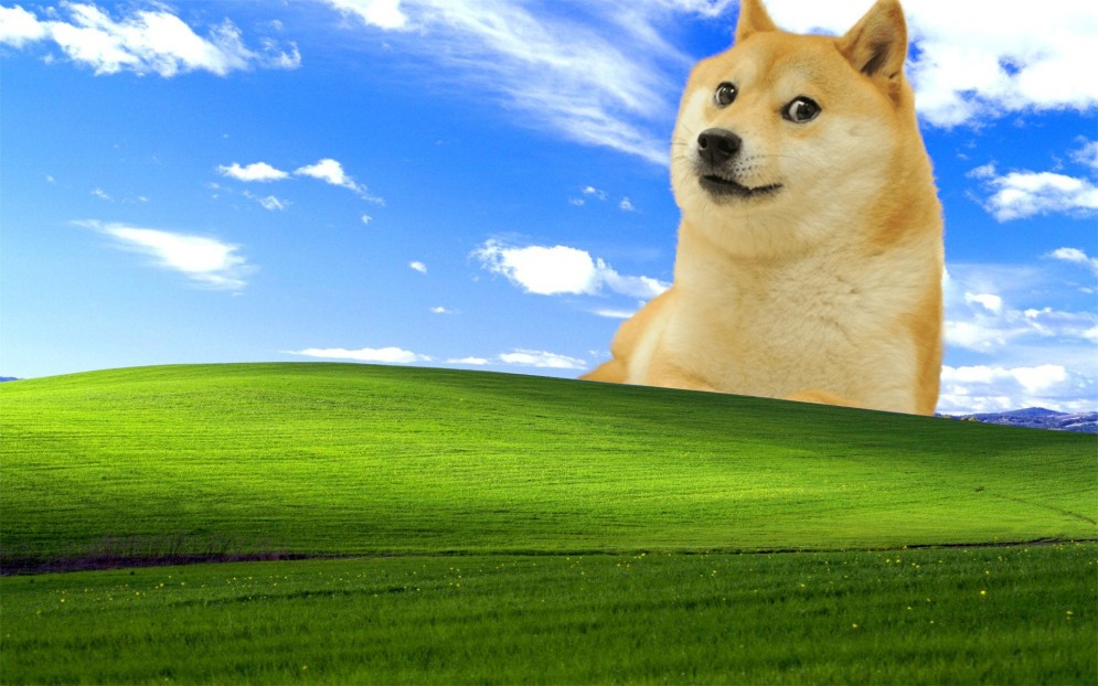 Papalingaz