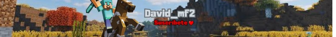 David_MF2