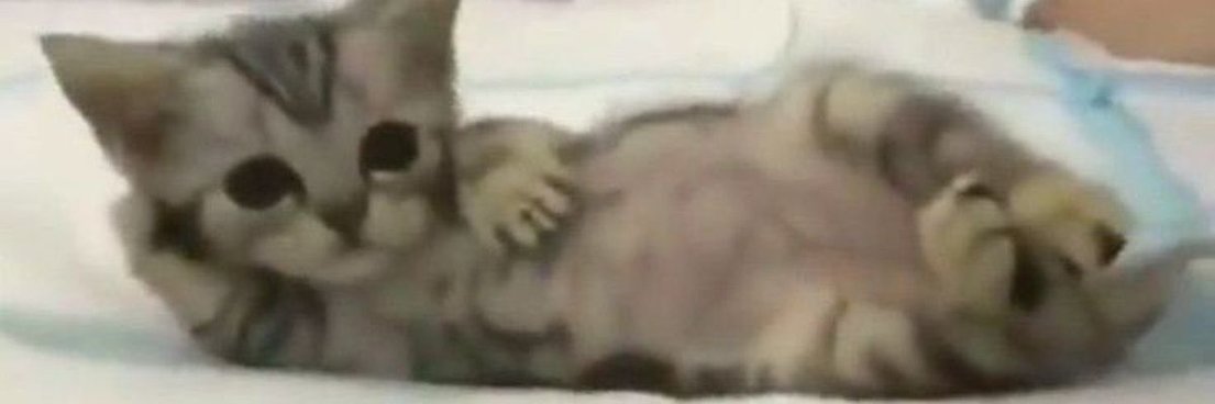 Darksouls2003