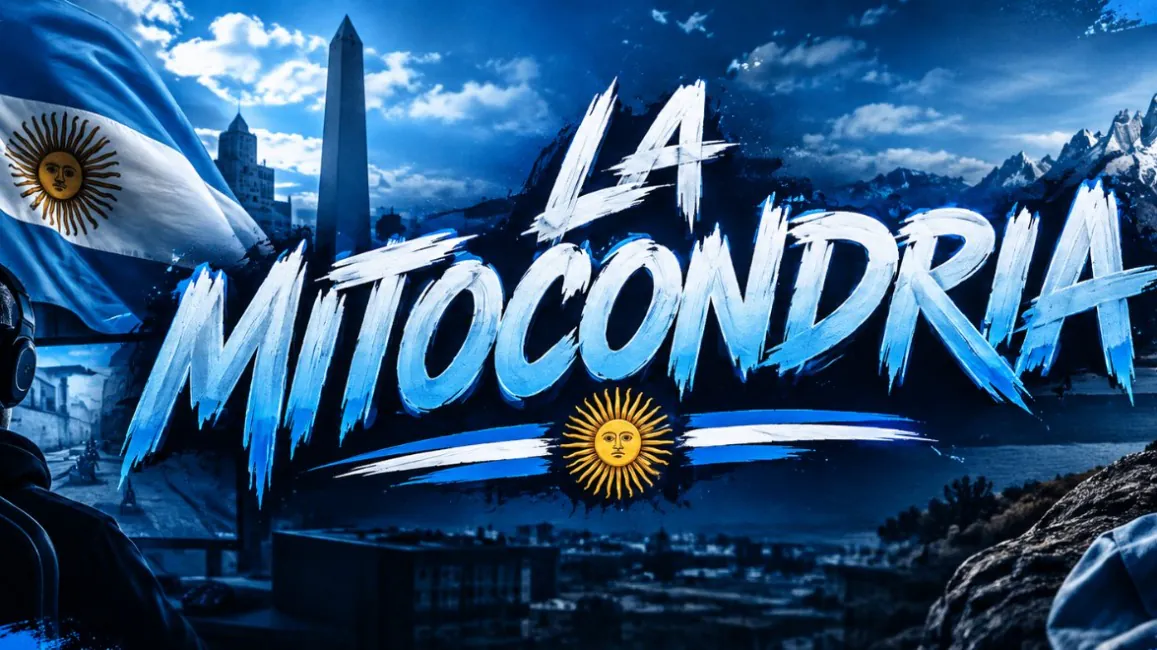 MIT0CONDRIA
