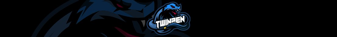X_Twinzen_X