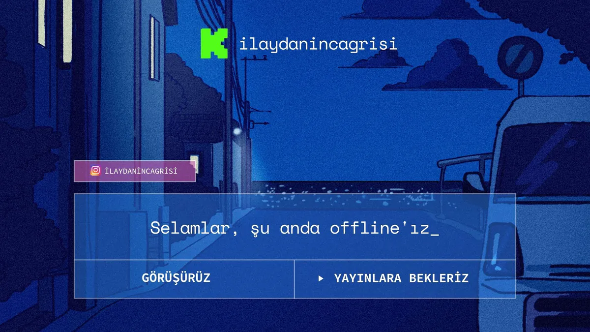 ilaydanincagrisi
