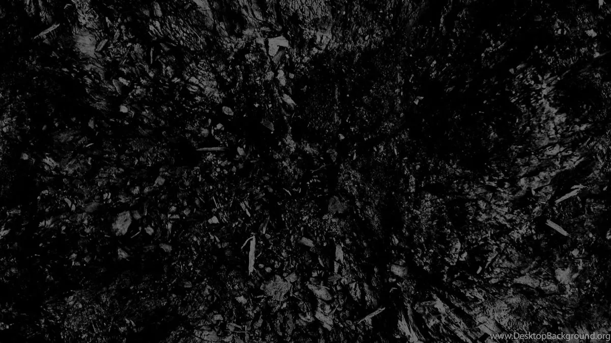 electus019
