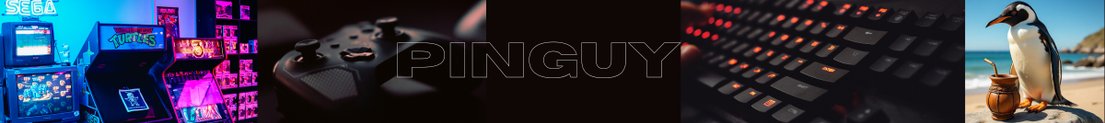 Pinguy91