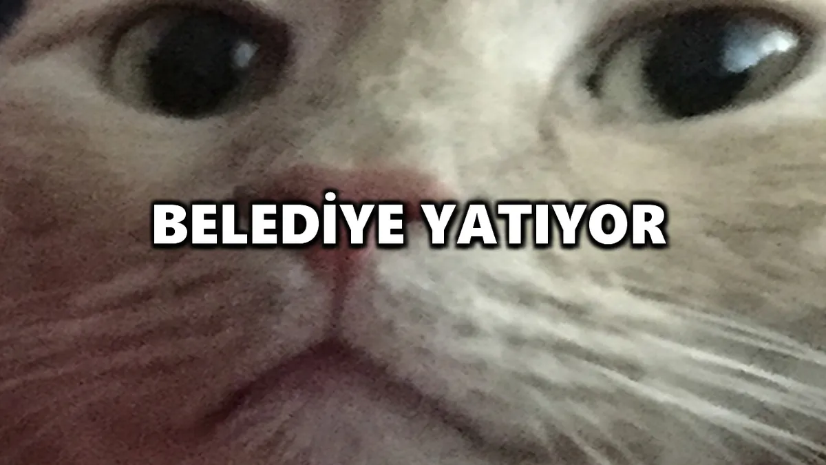 CewoHere96