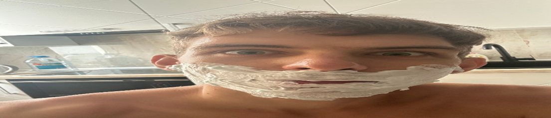 showmito1