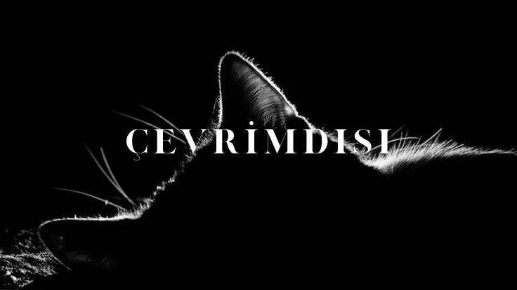 itsceylin