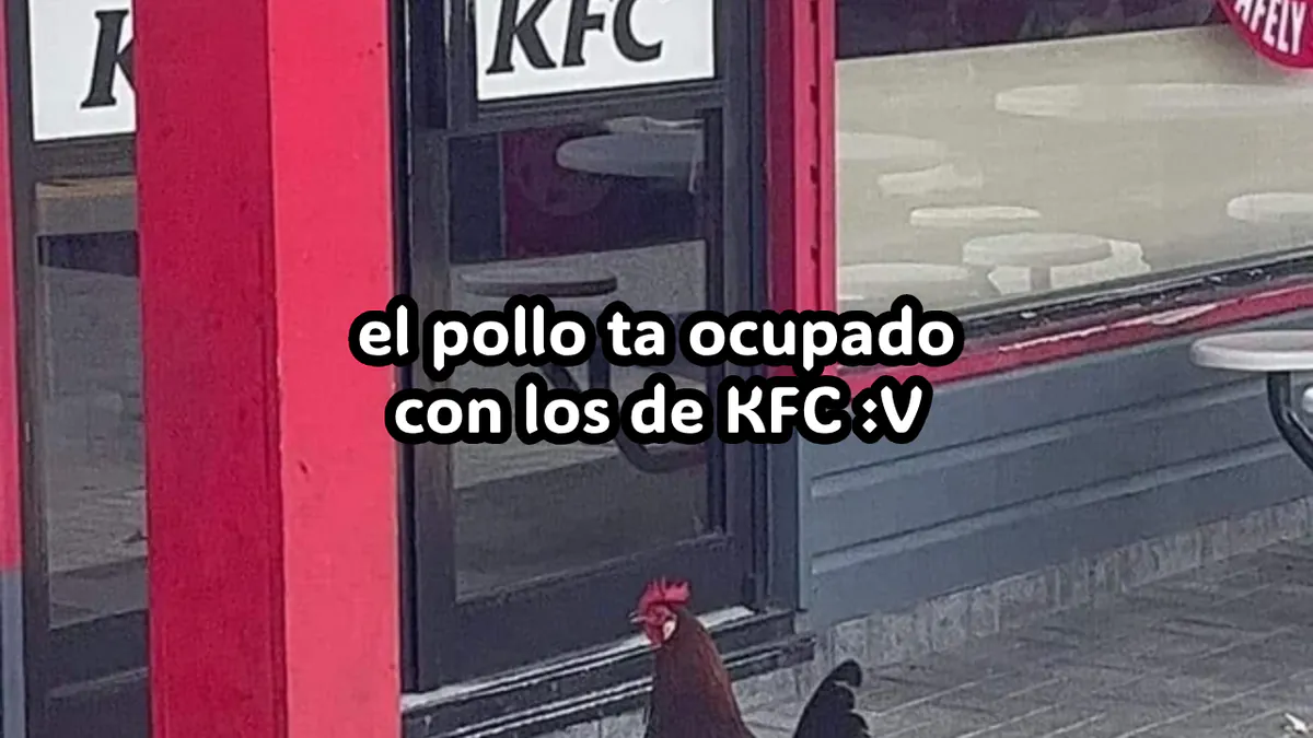 JalaC1nXdxd