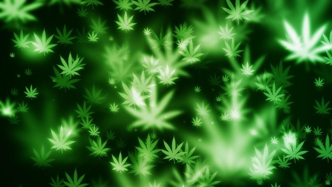 PierceDaSnail420