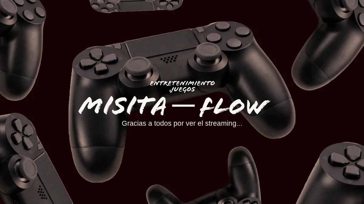 MisaSinFlow