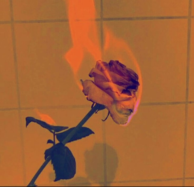 lllastking26