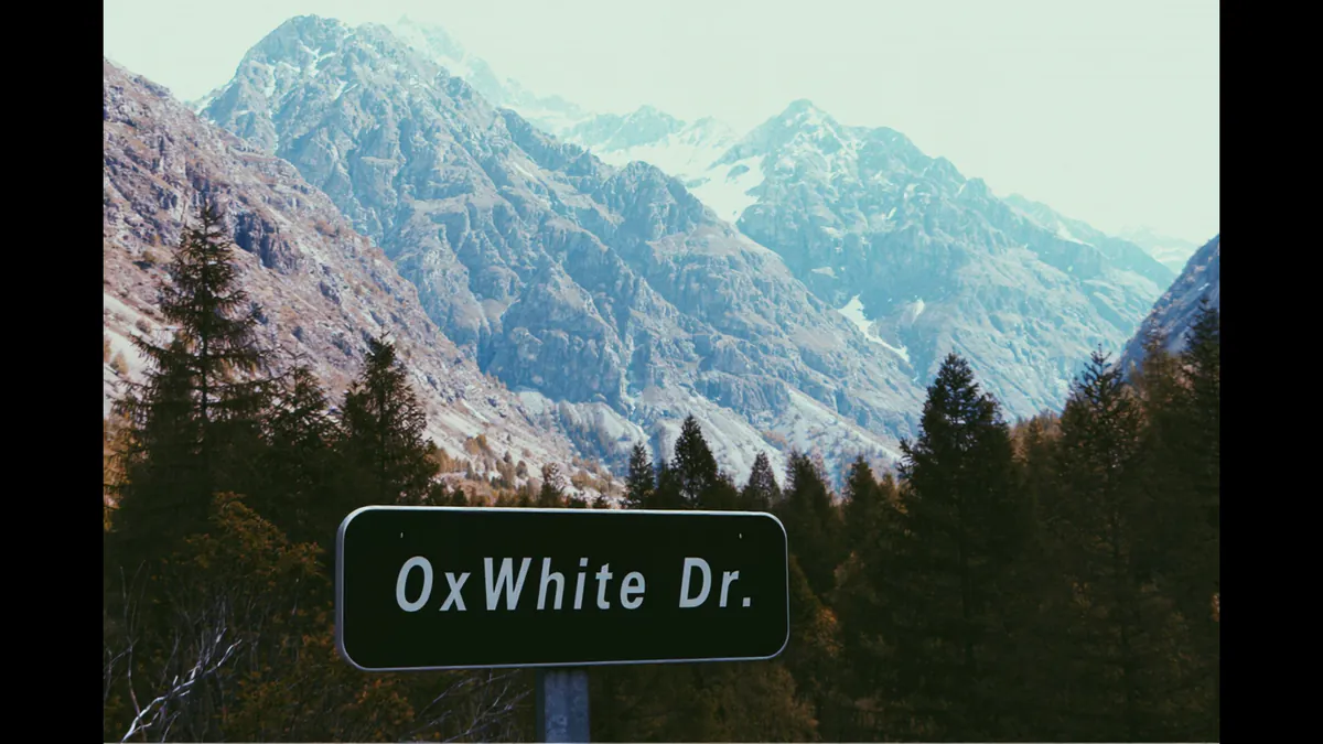 MikeOxWhite426