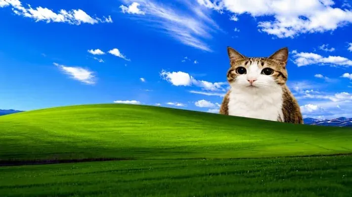 Bebuute