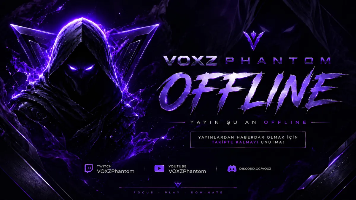 VOXZPhantom