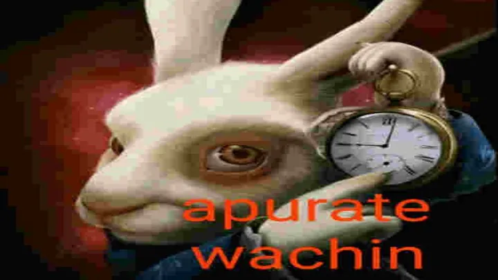 Rappaz99
