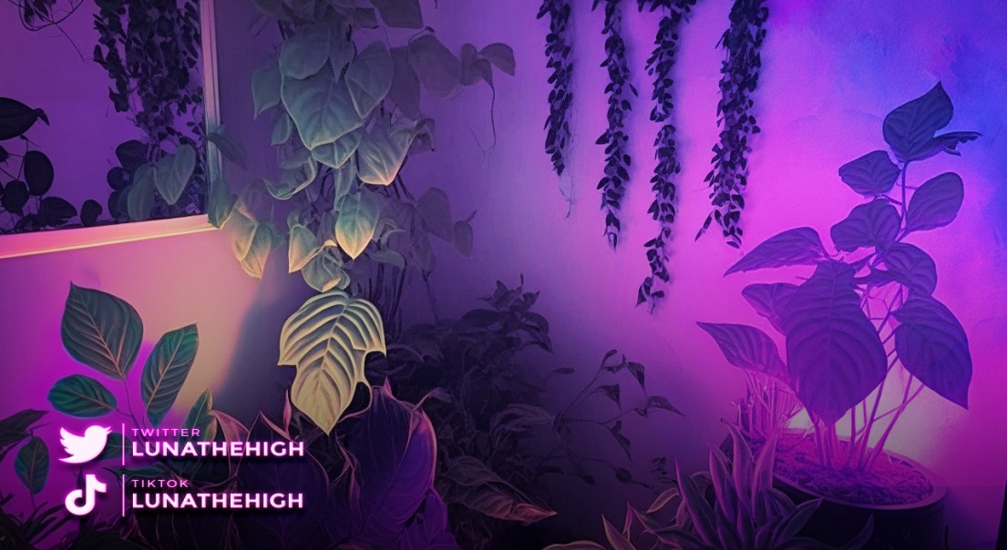 Lunathehigh