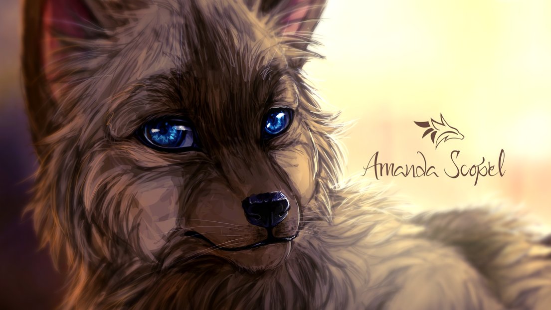 amandascopel