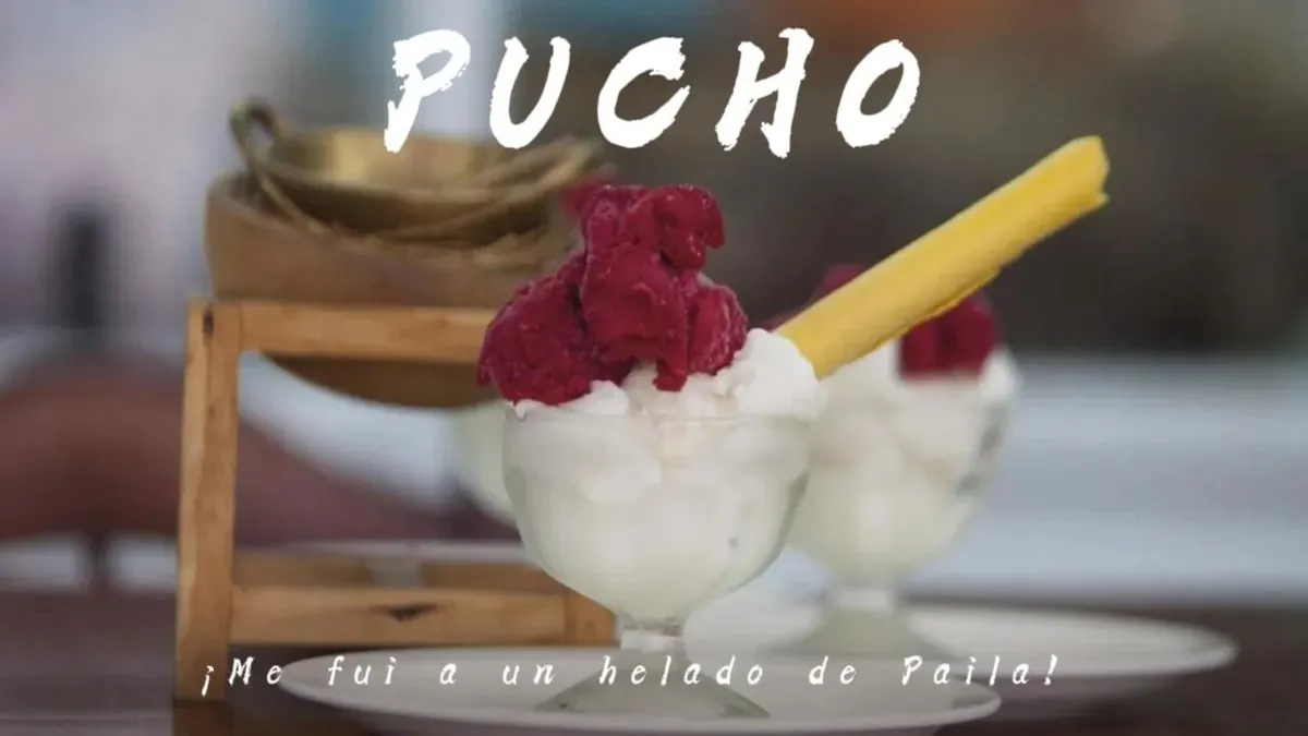 Pucho0407