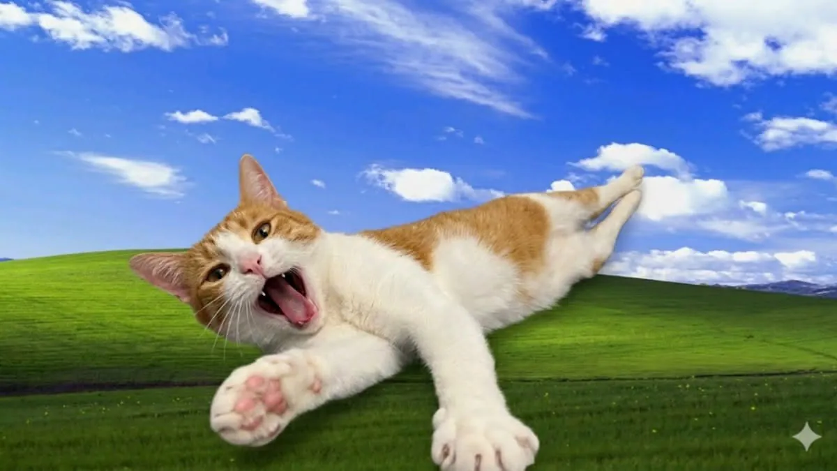 paigongg