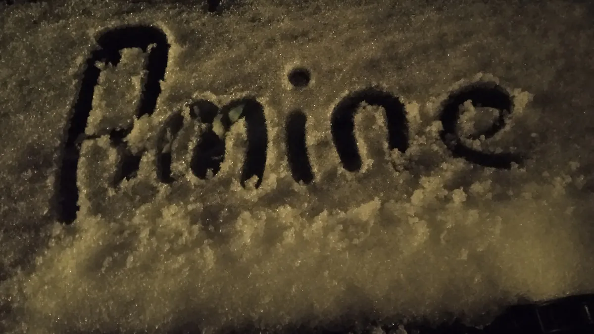 S2GAminee