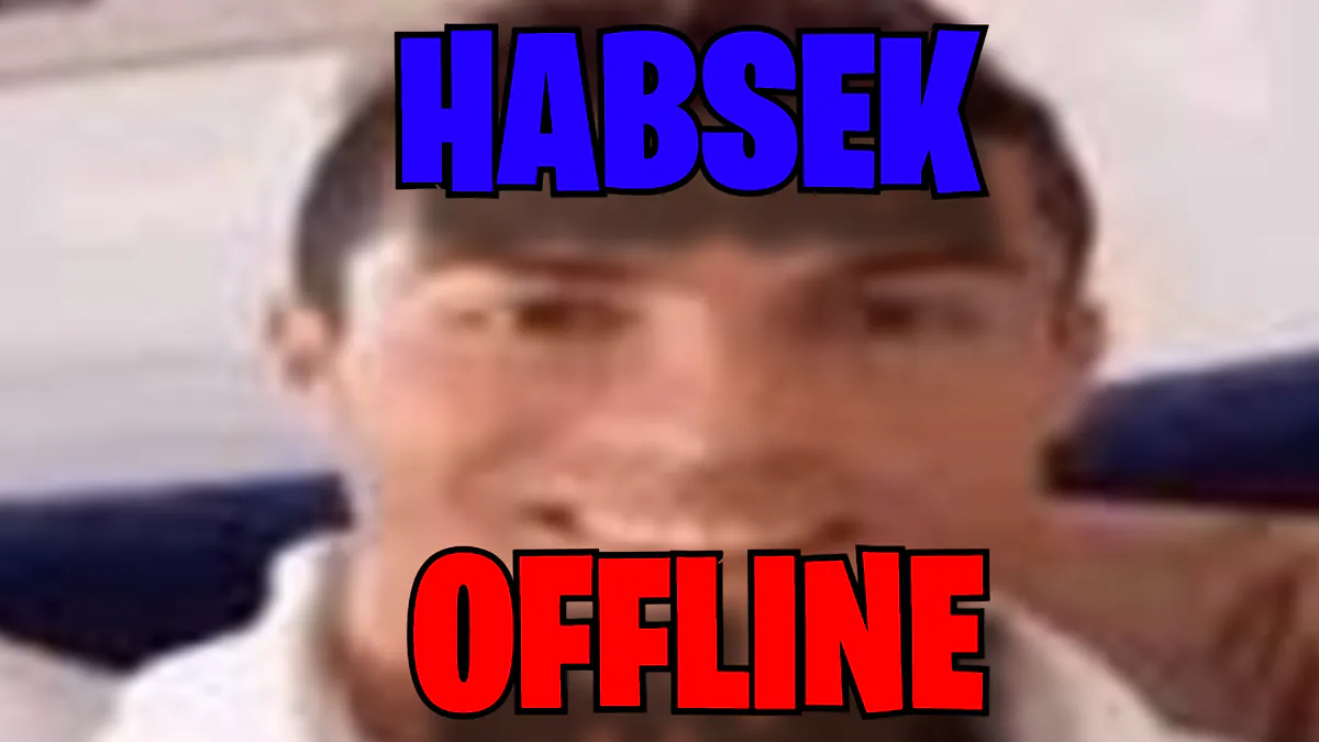 Hubsek