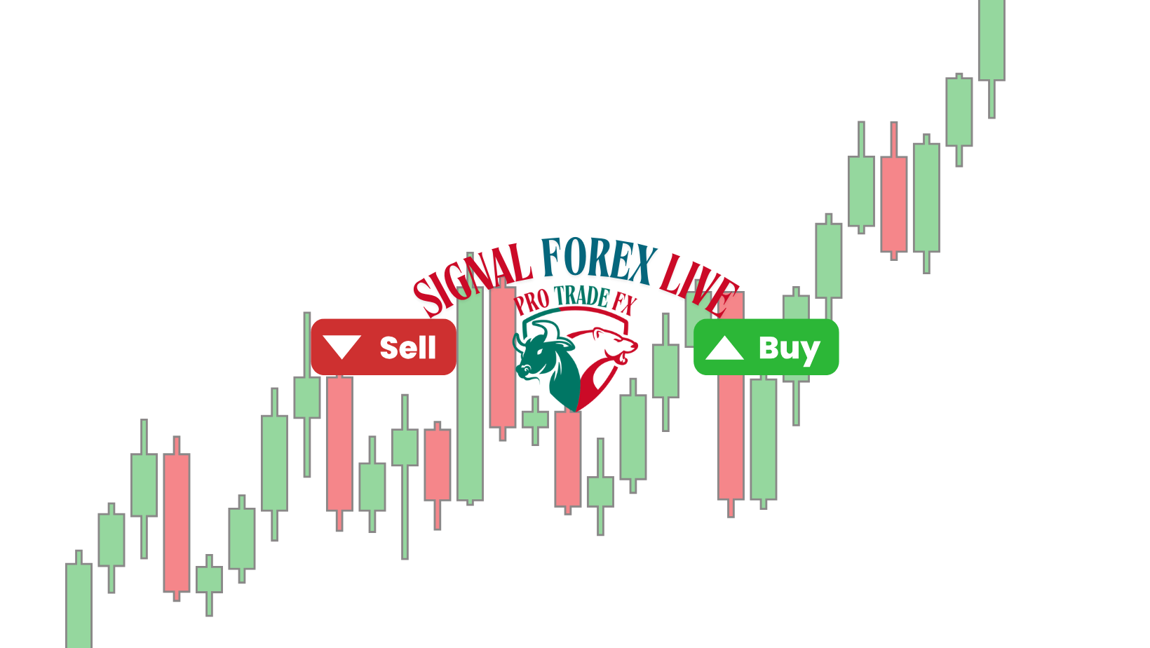 forex_trader Stream - Watch Live on Kick
