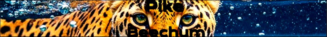 Pikebeechum