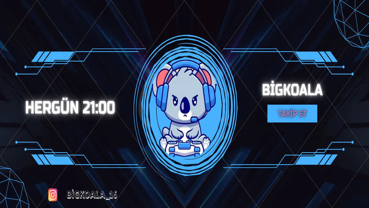 BigKoalaa