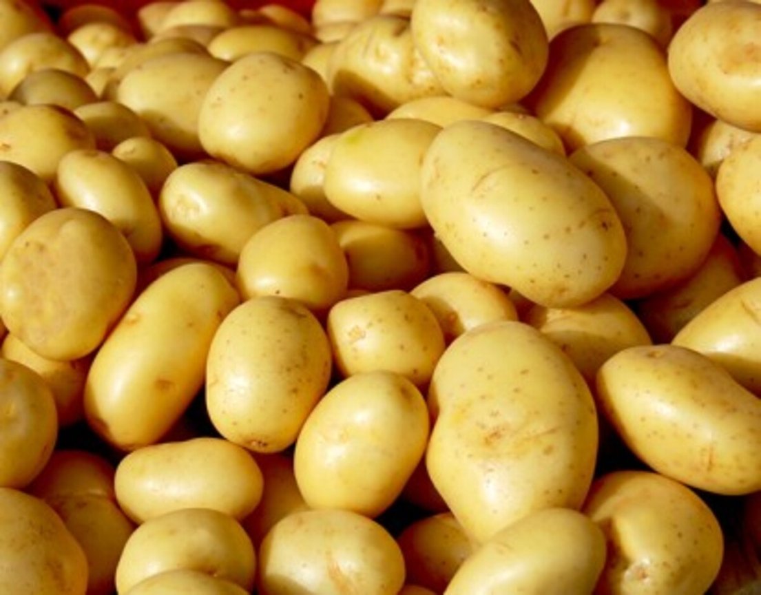 SrSucrillhos