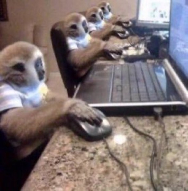 gibbon