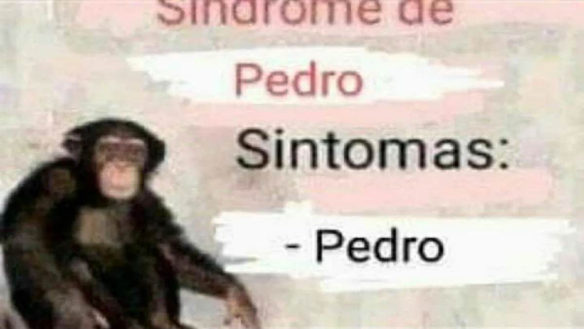Egaroto