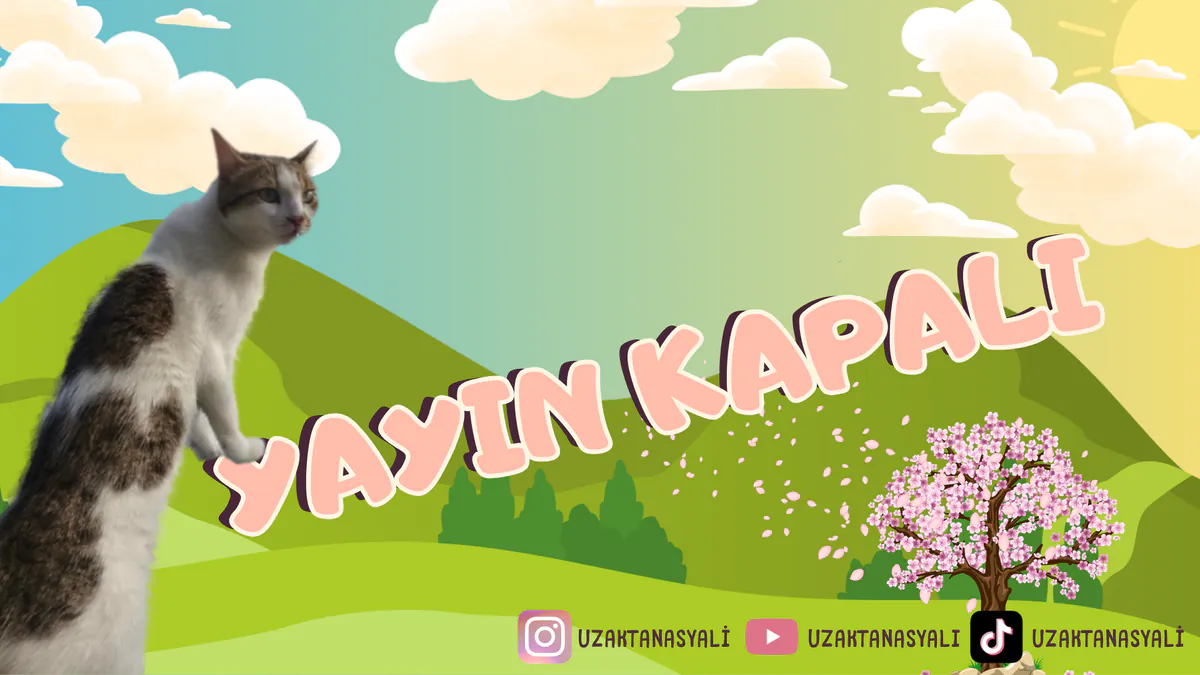 uzaktanasyali