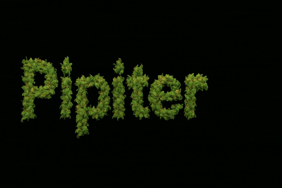 pipiter
