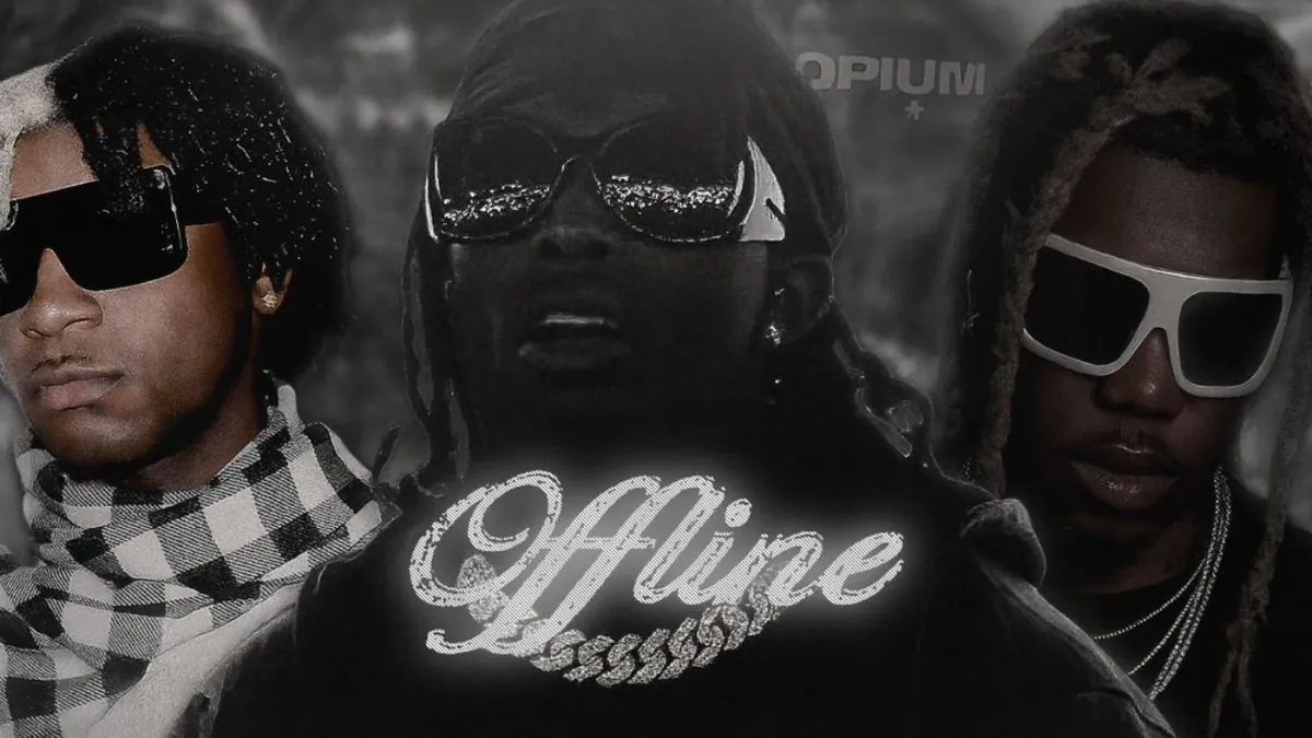 yvlfrank