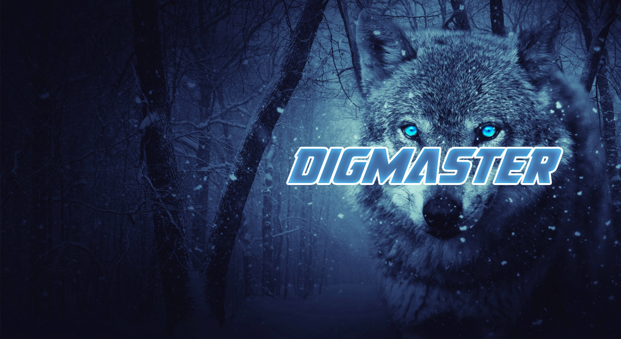 DigMaster9