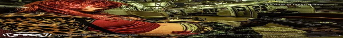 Kick banner for @haven