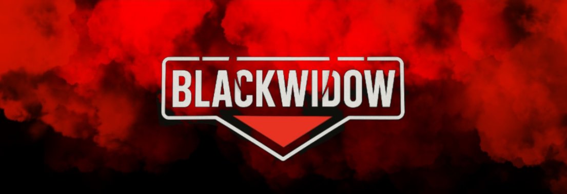 BlackWidowSVK