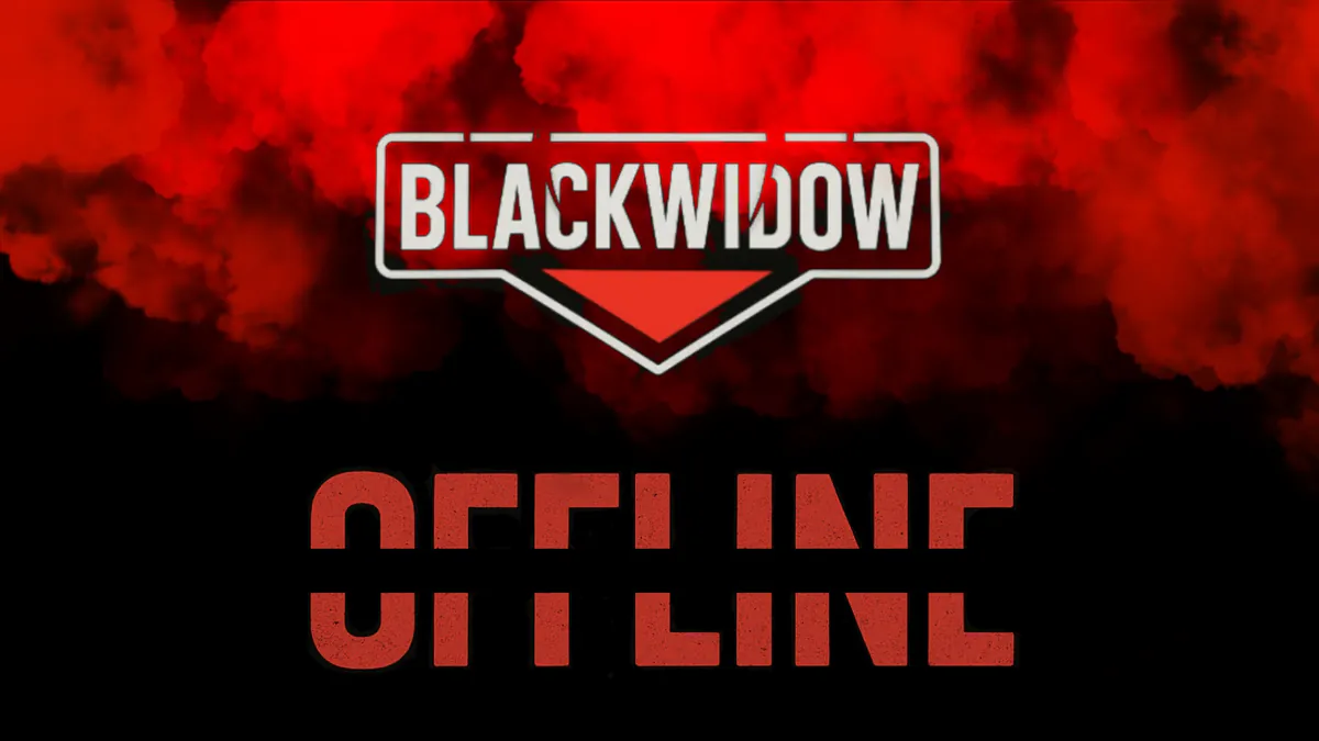 BlackWidowSVK