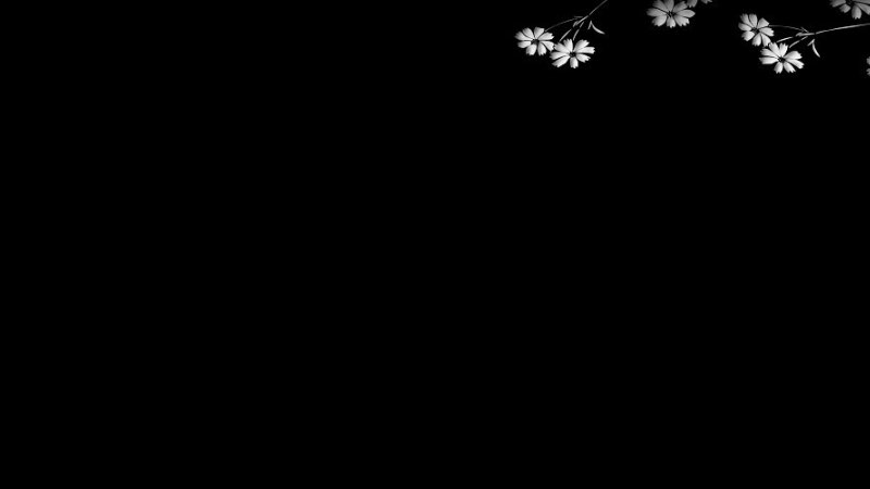 Kick banner for @tempt