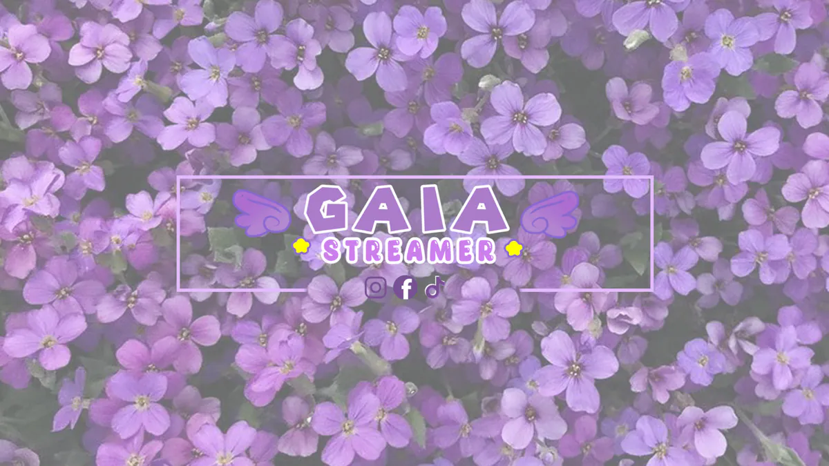 Gaiastreamer