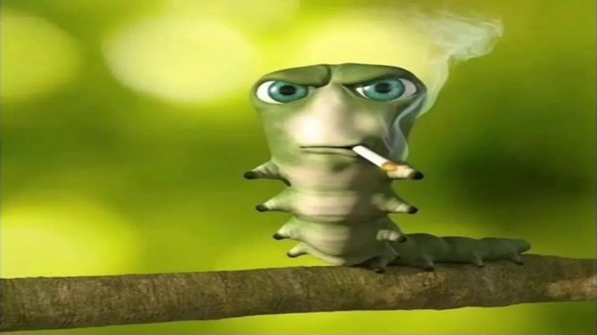 AnderFRK