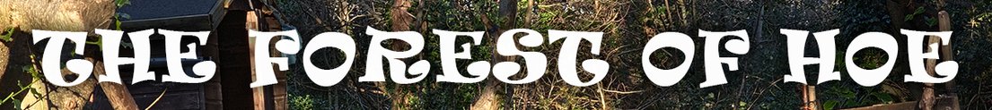 Forest_hope