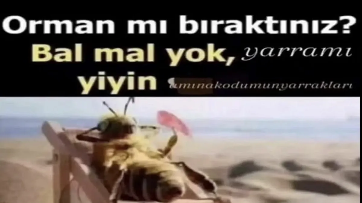 Apigj
