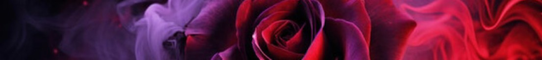 LiveWithRose